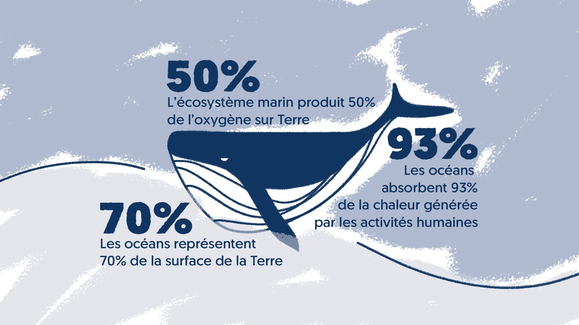 Sauver les océans, sauver nos vies