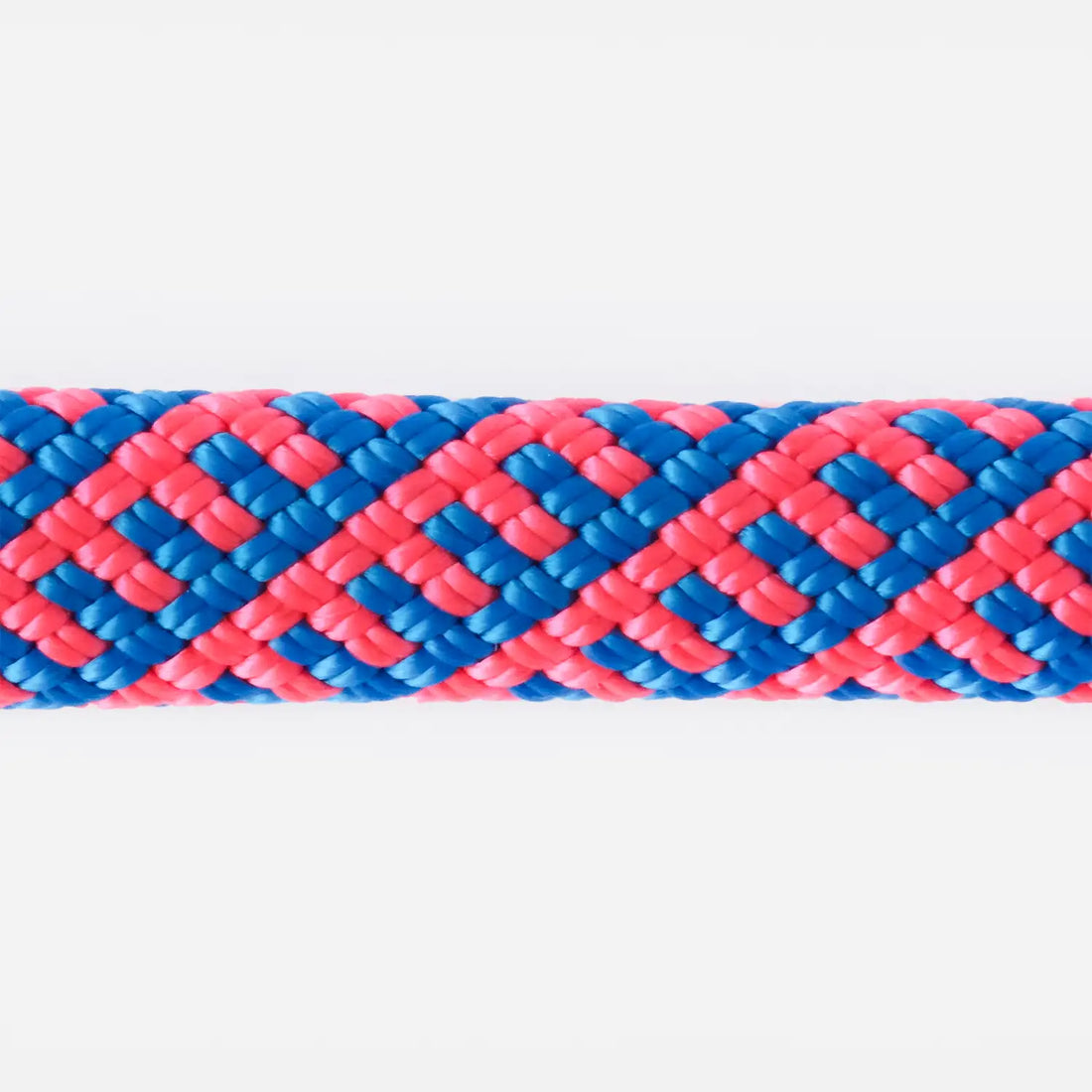 Corde 50cm - Bleu et Rose